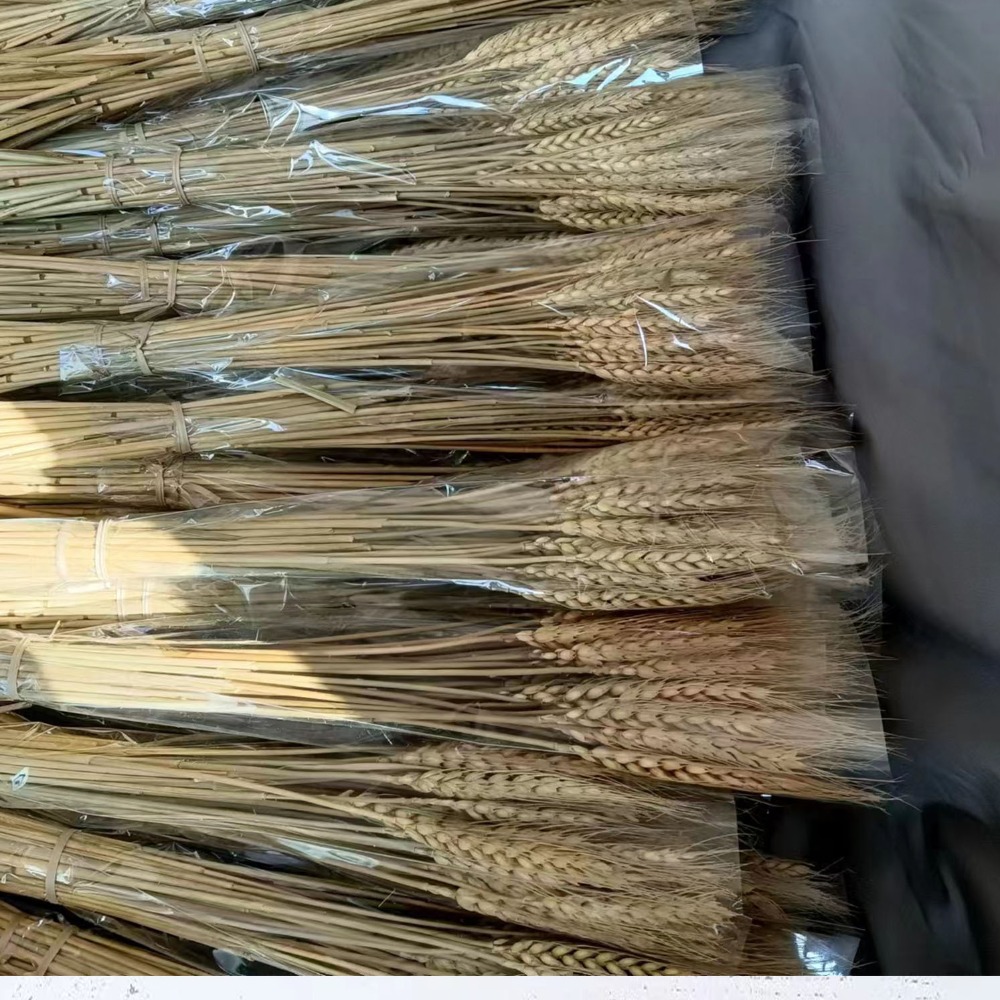 50pcs Artificial Flower Natura - Wedding Ceremony Supply review and price