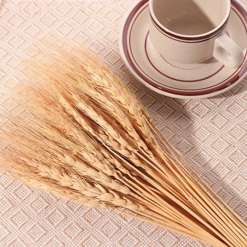 50pcs Artificial Flower Natura - Wedding Ceremony Supply review and price