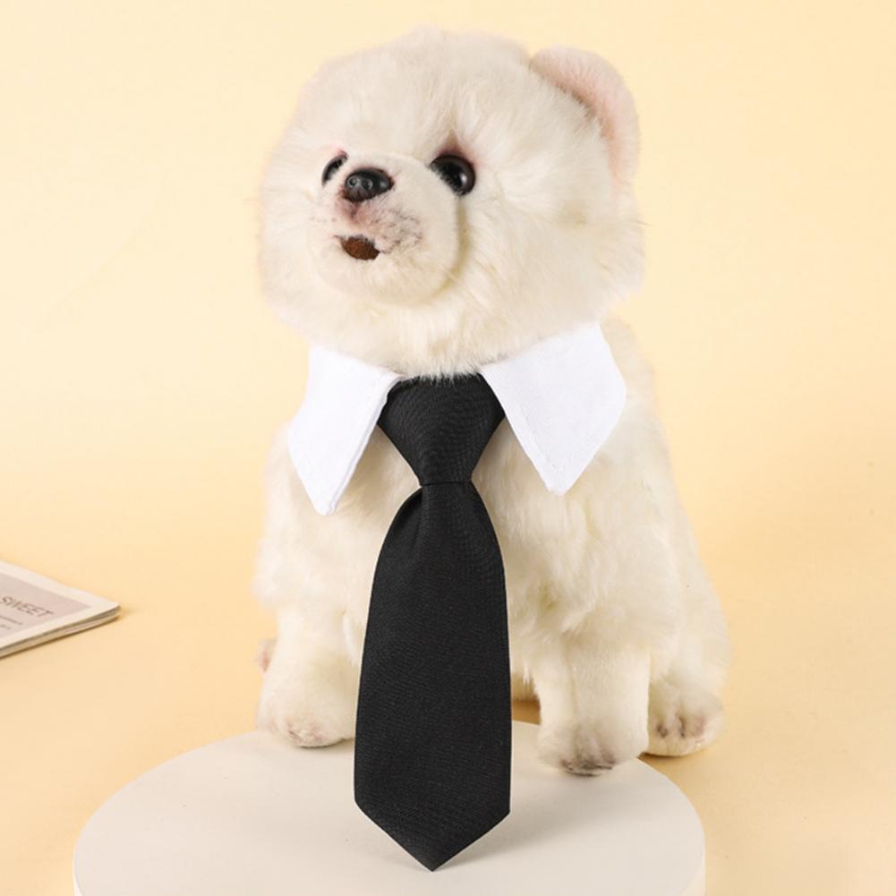13-27cm Formal Dog Tuxedo Neck - Suitsupply Wedding Tuxedo review and price