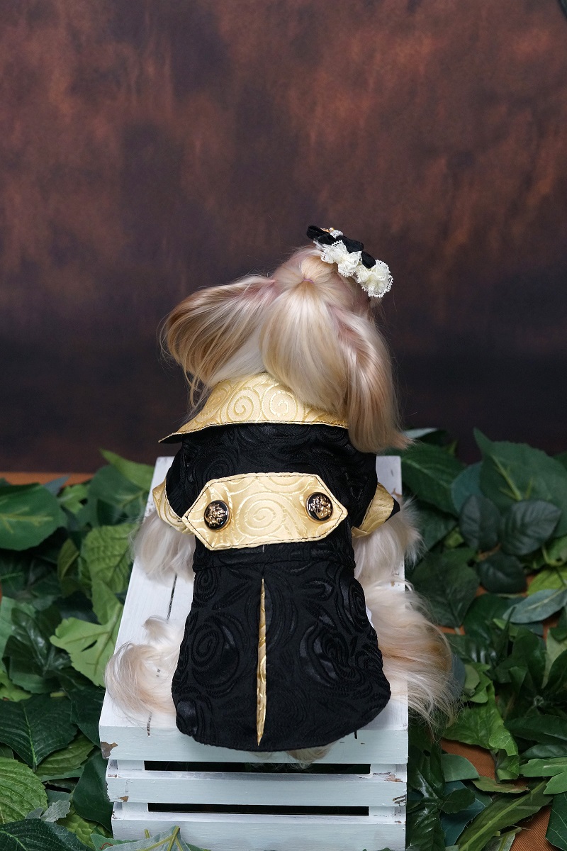 Handmade Dog Clothes Luxurious - Suitsupply Wedding Tuxedo review and price