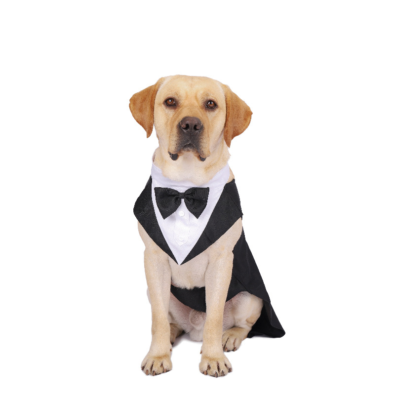 Pet Dog Clothes Fashion Party  - Suitsupply Wedding Tuxedo review and price